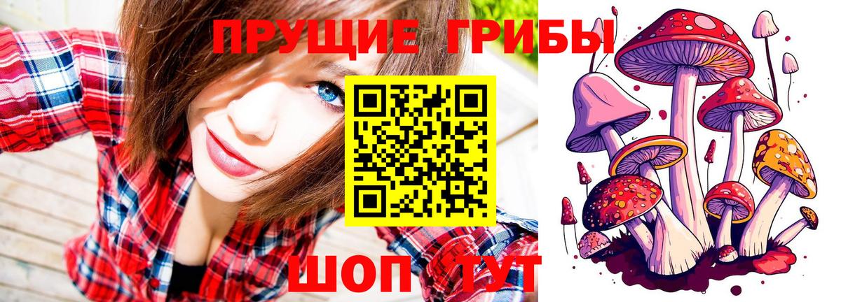 где купить   Вход с VPN  Барнаул  Галлюциногенные грибы MAGIC MUSHROOMS 